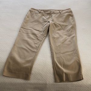 Loft ankle pants